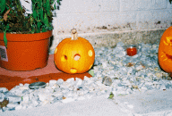 Pumpkin with holes